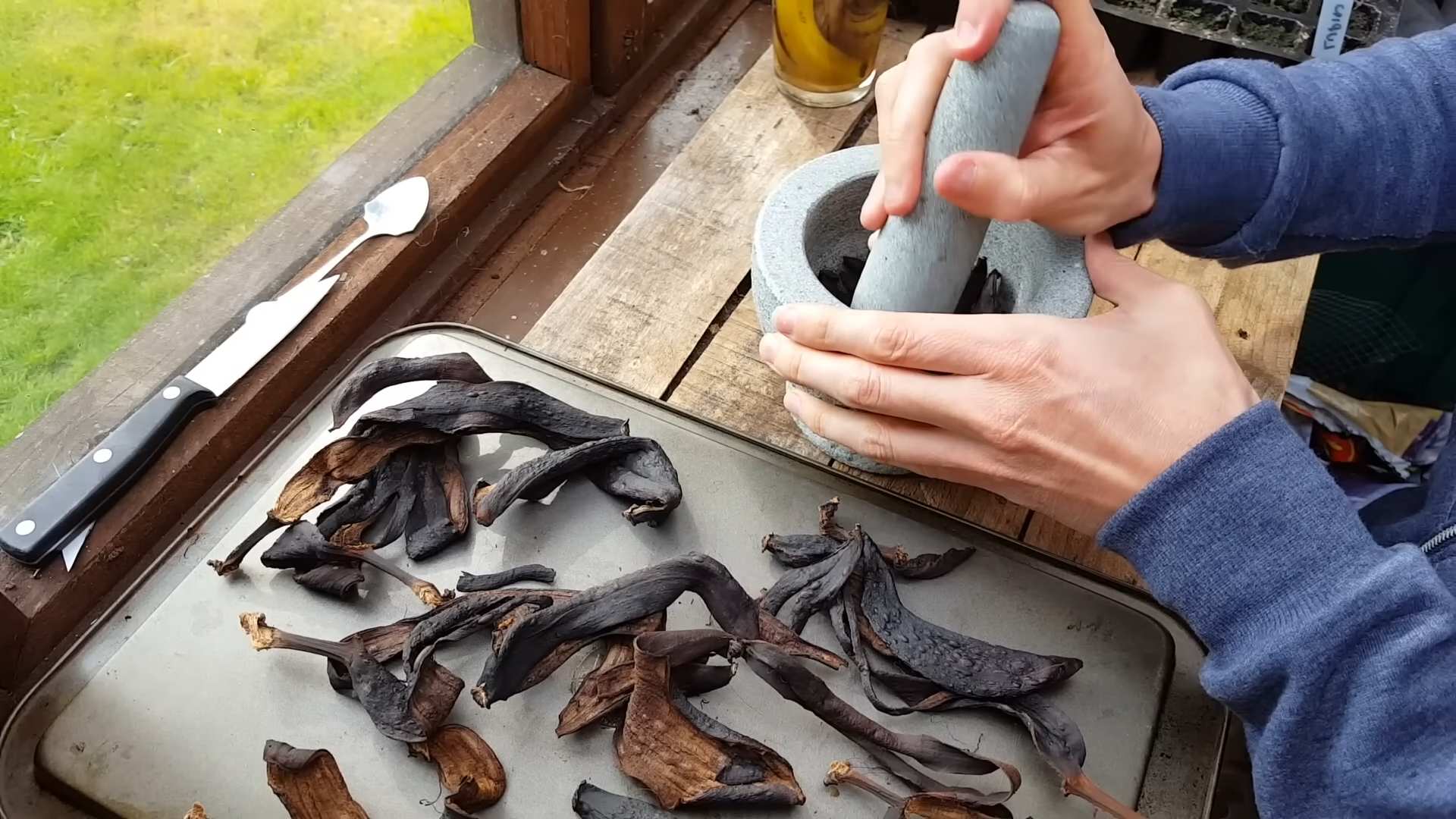 Bananenschalen kompostieren Gartentipps