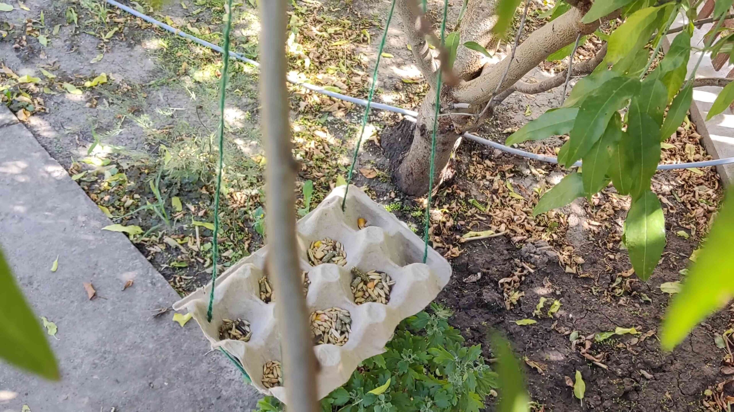 Einfache Vogelfutterstelle selber bauen